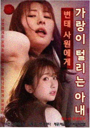 八面山林线过渡带冬季雾凇包裹的灌木与步道